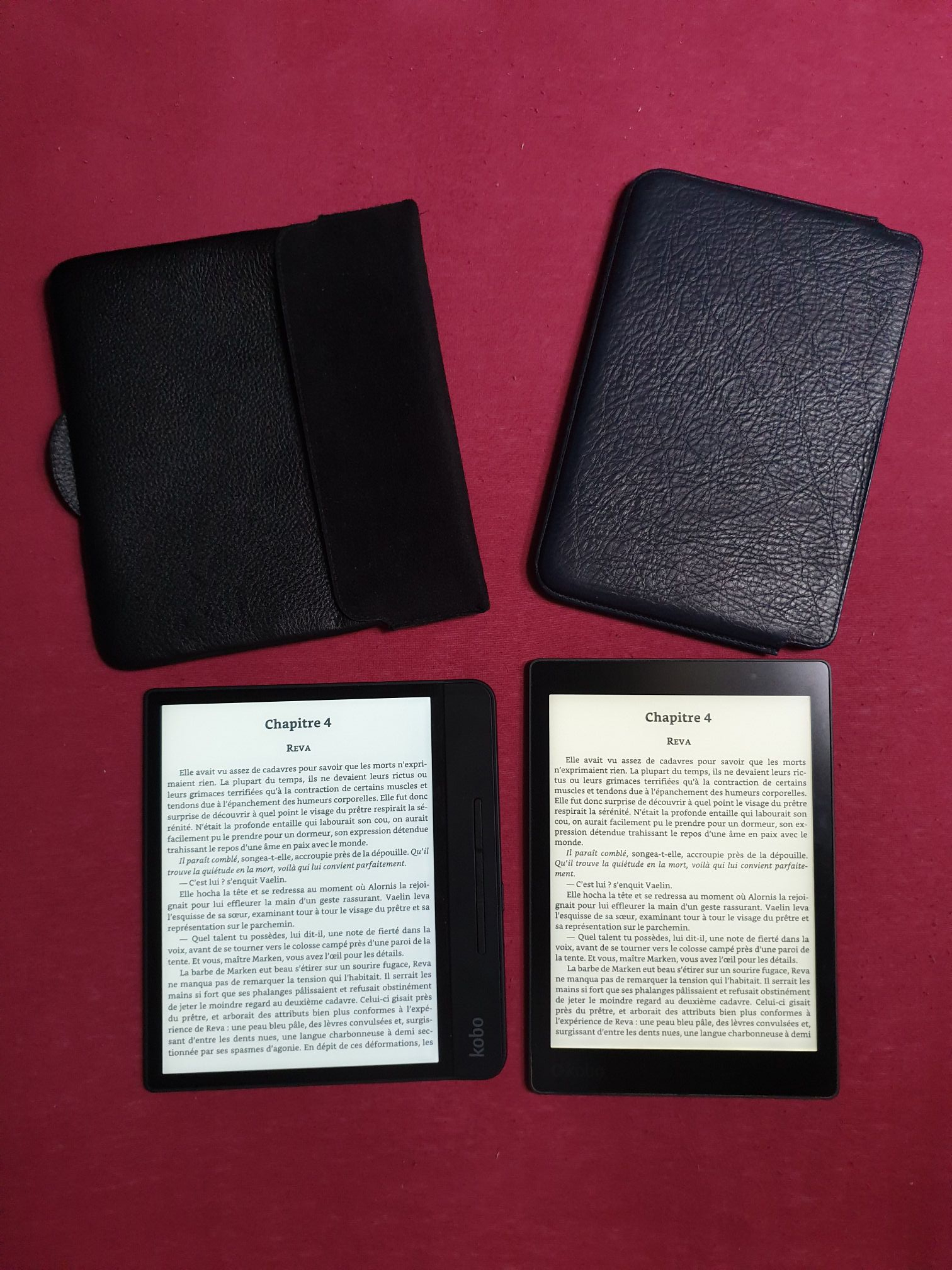 PocketBook Lecteur e-Book InkPad 3 Pro 16 Go avec /écran E-Ink Carta Wi-FI IPX8 Gris m/étallis/é SMARTlight