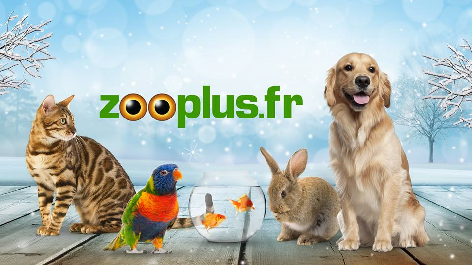 Zooplus Une Boutique Pas Chere Pour Les Maitres Exigeants