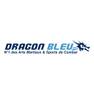 Codes promo Dragon Bleu