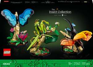 LEGO 21342 - La collection d’insectes - LEGO Ideas