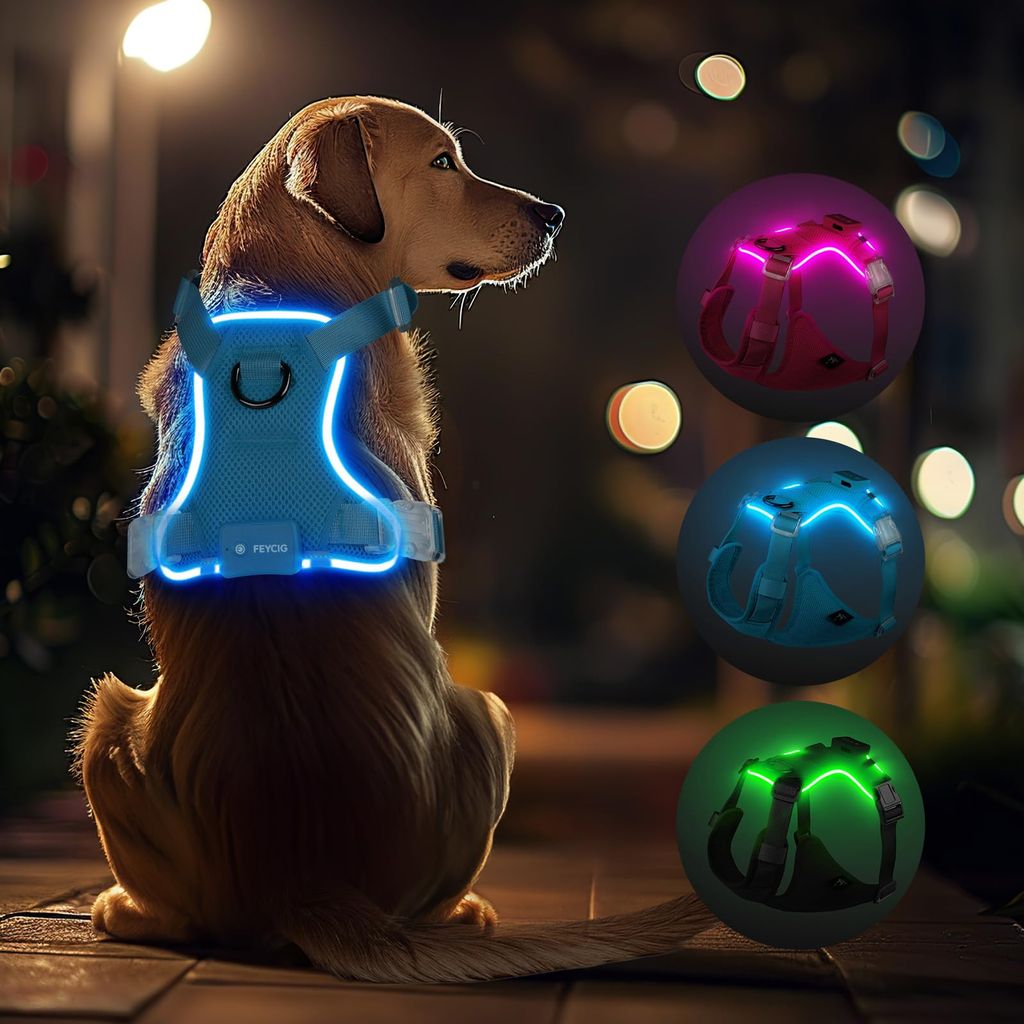 Harnais lumineux LED rechargeable pour chien – 3 modes d’éclairage (vendeur tiers)