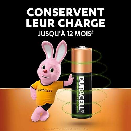DURACELL Chargeur Piles Rechargeables 15 min + AA X4 - Cdiscount Bricolage