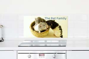 Crédences de cuisine personnalisées en aluminium (épaisseur 3 mm) en promotion - Ex : Crédence The Rat Family 60 x 30 cm