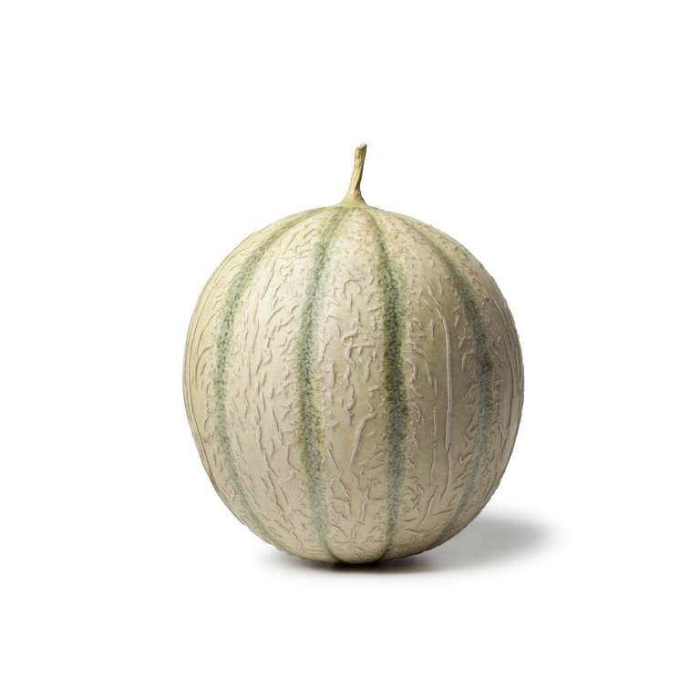 Melon charentais - Catégorie 1