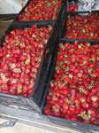 [Femmes enceintes] 2 Kg de fraises offertes - Cueillette de Duvy (60)