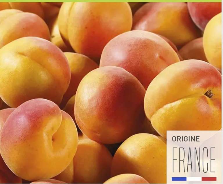 Abricots issus d'une exploitation HVE - Catégorie 1 Origine France (le kilo en vrac)