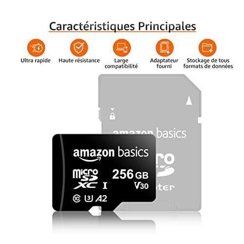 Carte mémoire MicroSDXC Amazon Basics - 256 Go, avec adaptateur SD
