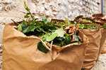 [Habitants] Distribution Gratuite de sacs pour les déchets végétaux | 11 mars - Clamart (92)