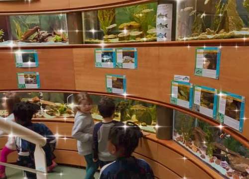 Entrée gratuite au Musée Aquarium de la Seine - Levallois-Perret (92)