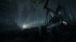 Blair Witch sur PC & Xbox One/Series X|S (Dématérialisé - Store Argentin)