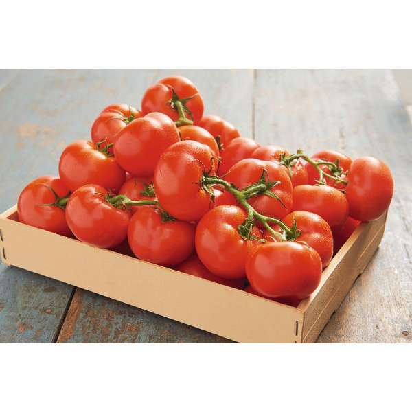 Tomates rondes en grappe, le kilo
