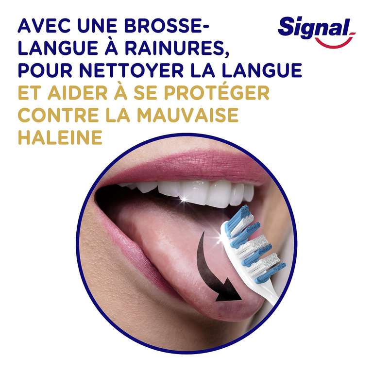 Lot 4 Brosses à dents Signal protection intégrale - medium (via abonnement et coupon)