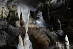 Billet PassHan 1 personne pour les Grottes de Han + parc animalier + musée PréhistoHan (Belgique)