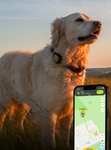 Traceur GPS pour chiens Kippy EVO (kippy.eu)