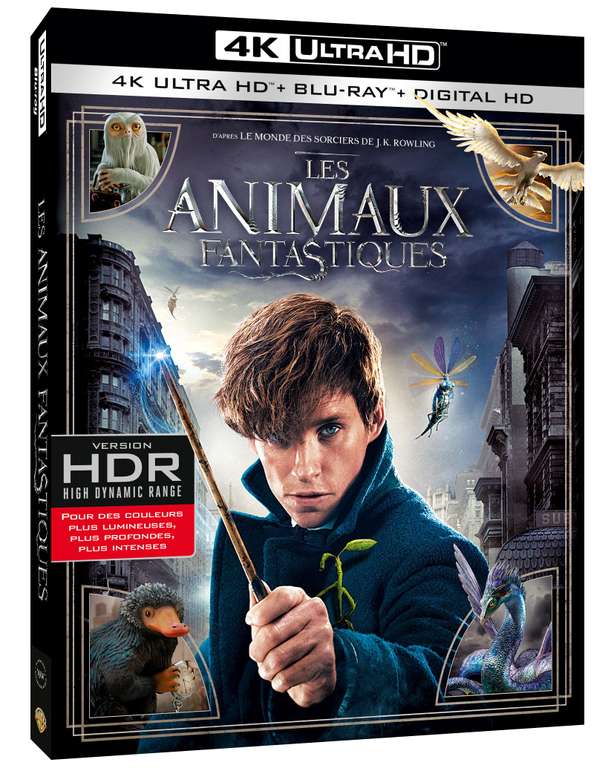 Les Animaux fantastiques - Le monde des Sorciers de J.K. Rowling - [4K Ultra-HD + Blu-ray + Digital HD]