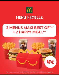 Menu famille 2 Maxi Best Of (Big Mac, Filet-O-Fish ou 6 McNuggets) + 2 Happy Meal - Carcassonne Salvaza (11)