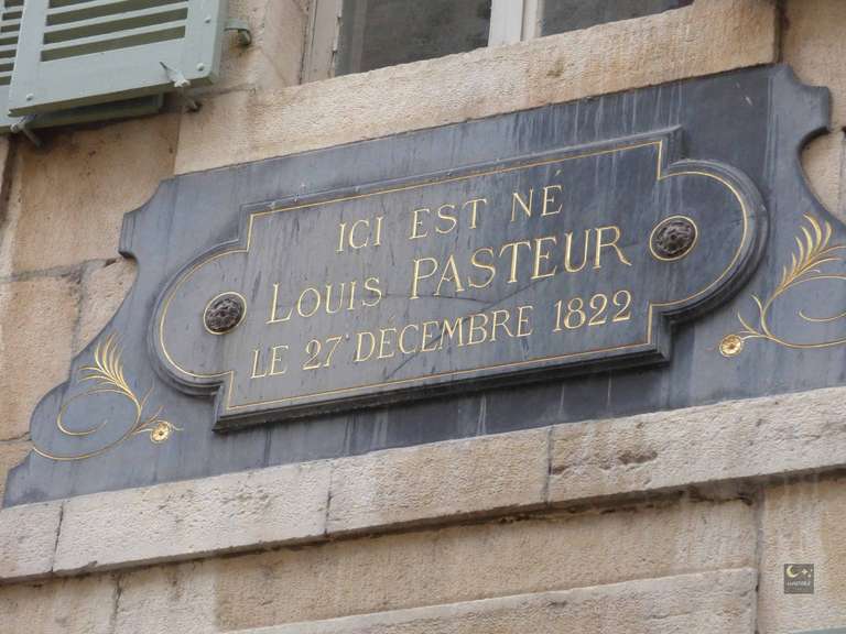 Entrée, Visites et Animations gratuites pour les 100 ans du Musée de la Maison natale de Louis Pasteur - Dole (39)