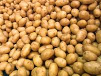 [Habitants] Distribution Gratuite de Pommes de Terre - Feuquières-en-Vimeu (80)