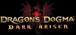 Dragon's Dogma Dark Arisen sur PC (Dématérialisé - Steam)