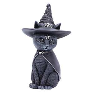 Figurine Nemesis Now Purrah Chat Occulte Chapeau de sorcière Noir 13,5cm