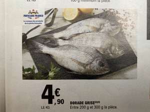 Dorade grise - 1Kg, pêché en Atlantique Nord-Est (Pavillon France)