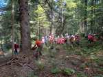[Vis ma vie de bûcheron] Visites guidées pédagogiques gratuites de Chantiers Forestiers (sur réservation) - Auvergne-Rhône-Alpes