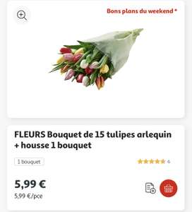 Bouquet de 15 tulipes + housse à bouquet - Drive Auchan Poitiers Sud (86)