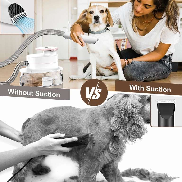 Tondeuse pour chien avec aspirateur pour poils d'animaux