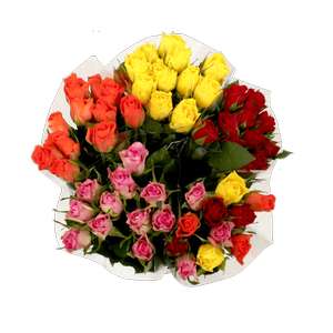 Bouquet de 11 roses certifiées Fairtrade - hauteur 40 cm, différentes couleurs au choix