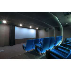 Ecran de projection Velours Home cinema (Vendeur tiers - Boulanger)