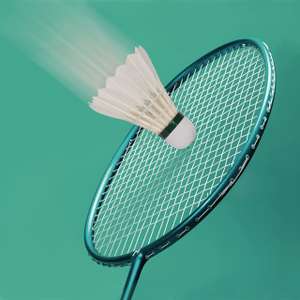 Initiation gratuite au Badminton pour les adultes (sur inscription) - Badminton Club de Lyon (69)