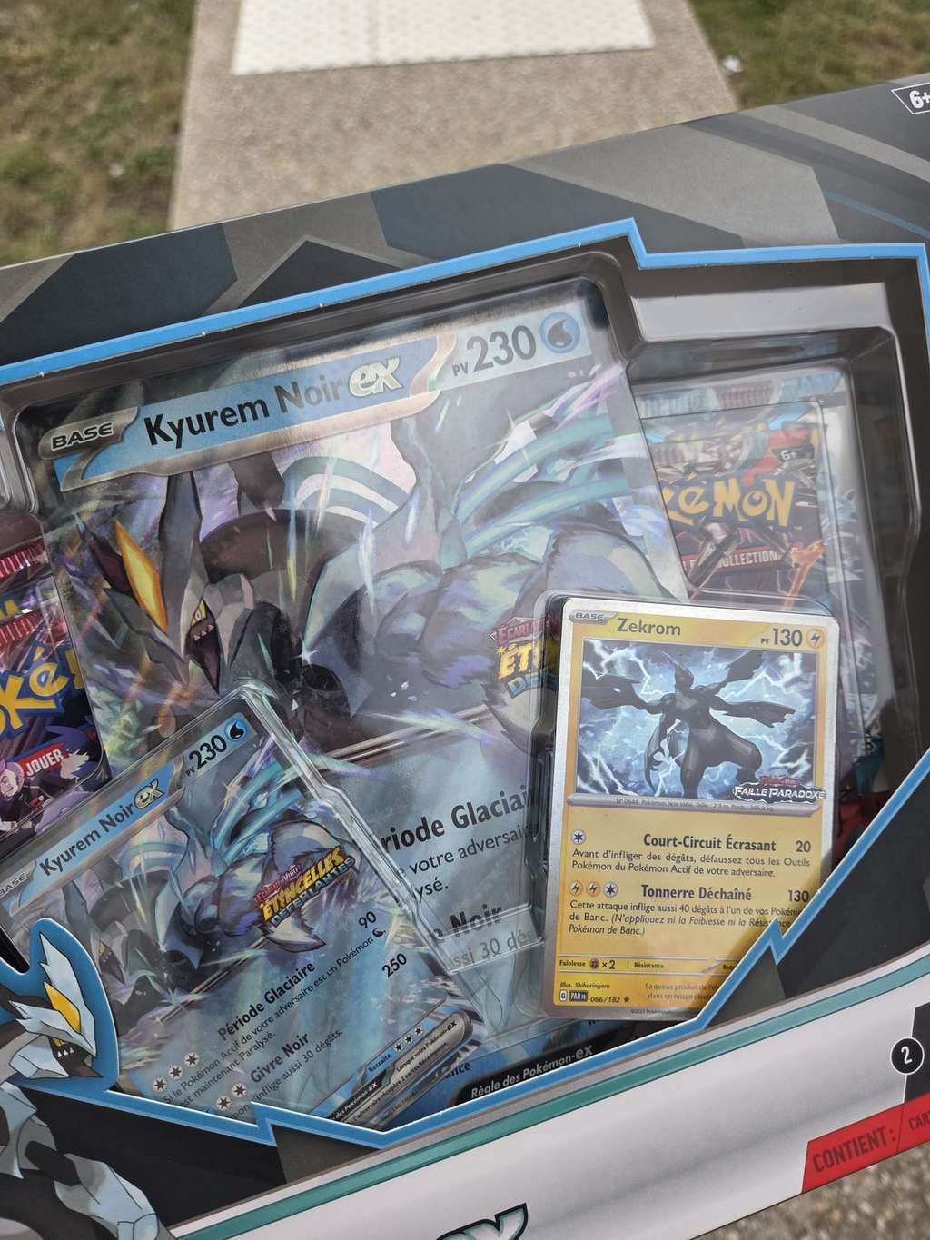 Pokémon - Kyurem Secrète 21/20 N&B Coffre des Dragons PCA 8 FR - 2012