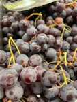 1 Kg de Raisin Muscat - Prim’Fruit à Saussay (28)
