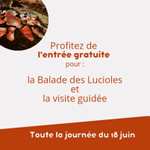 Visite Guidée & Balade des Lucioles à la Grotte Saint-Marcel Grauite pour les papas accompagnant leurs enfants - Bidon (07)