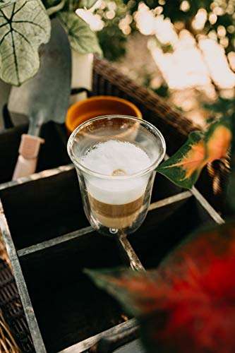 Pack de 2 verres à café latte isolé Delonghi 5513214611 - 2x330ml