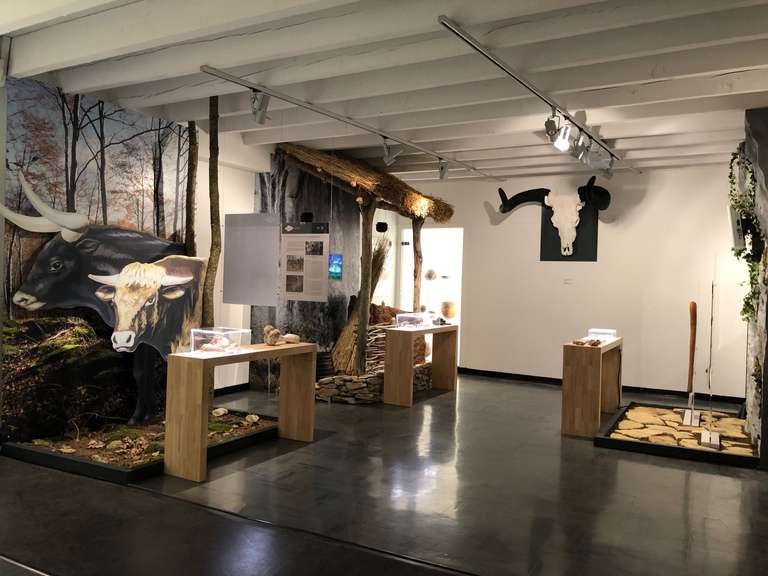 Visite du Site Archéologique de Roquemissou et des Expositions au Musée & Animations Gratuites - Montrozier (12)