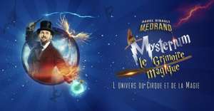4 Places Gratuites en Vision Limitée pour le cirque Médrano - Lyon (69), Rouen (76), Evreux (27)