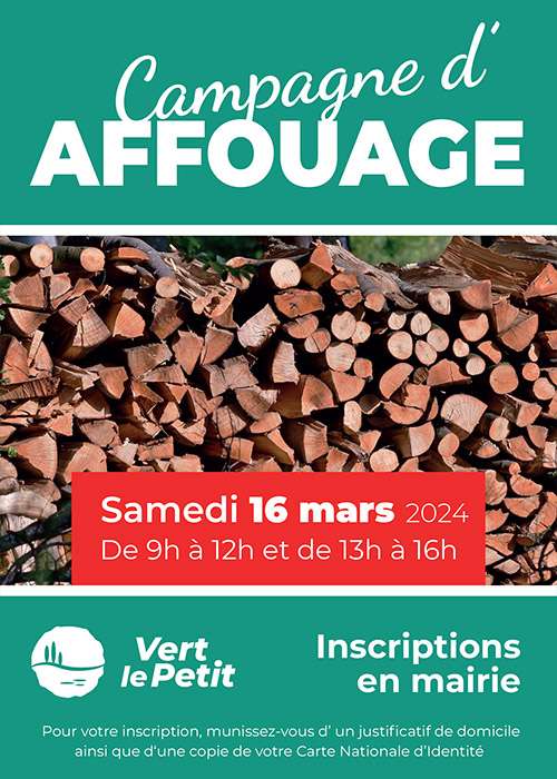 Ramassage gratuit de bois de chauffage (sur incription) - Vert-le-Petit (91)