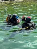 Baptêmes de Plongée en Lac Gratuits - Port de Giffaumont Saint-Dizier (52)