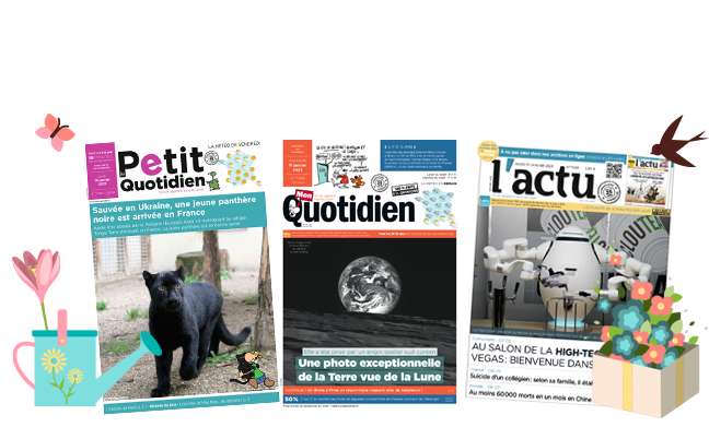 Sélection de magazines en promotion - Ex: Abonnement de 2 semaines "Le petit Quotidien" (12 numéros)