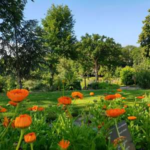 Entrée et Animations gratuites au Jardin Camifolia le 1er mai - Chemillé-en-Anjou (49)