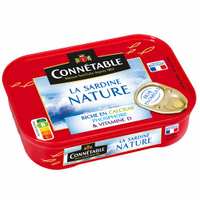 PARENCE Blocs Réfrigérants Réutilisables 500 ML – Pain De Glace 180x115x32 Mm, Pour Glacière, Pique-nique, Camping (bleu)