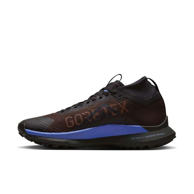 Chaussures de trail running Nike Pegasus Trail 4 GTX - Du 40 au 46