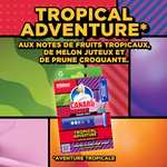 Canard WC Fresh Disc Édition Limitée Tropical Adventure