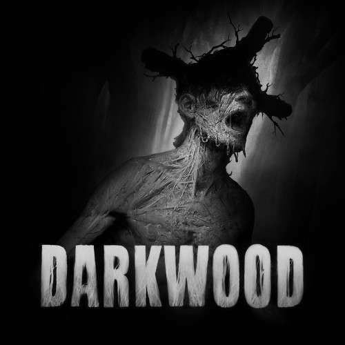 [Gold] Darkwood et When the Past was Around offerts sur Xbox One et Series X|S (Dématérialisés)