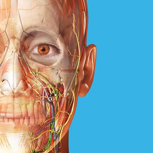Application Atlas d'anatomie humaine 2023 : Corps entier en 3D sur Android et iOS