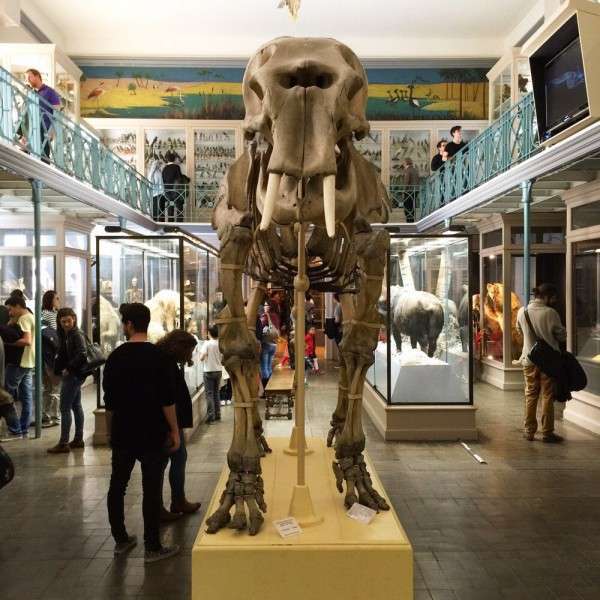 Entrée Gratuite au Musée d'Histoire Naturelle de Lille (59)