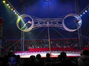 Invitations Gratuites pour le Cirque du Nouvel An pour les habitants - Douai (59)