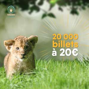 Billet non daté jusqu'au 27 octobre pour le Zoo de Thoiry (78) - thoiry.net