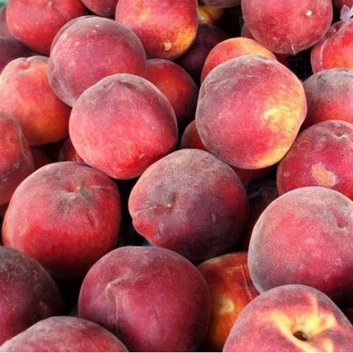 Distributions gratuites de fruits les 5 & 6 septembre - Bagnols-sur-Cèze, Saint-Gilles (30)